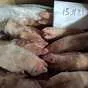 свиные Ноги / Frozen Pork Feet в Украине 2