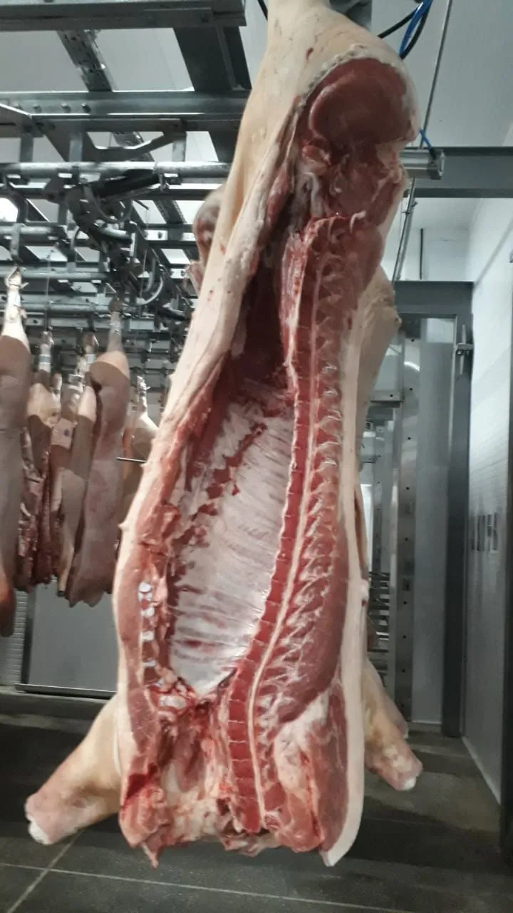 фотография продукта Мясо свинина, полутуши II категория