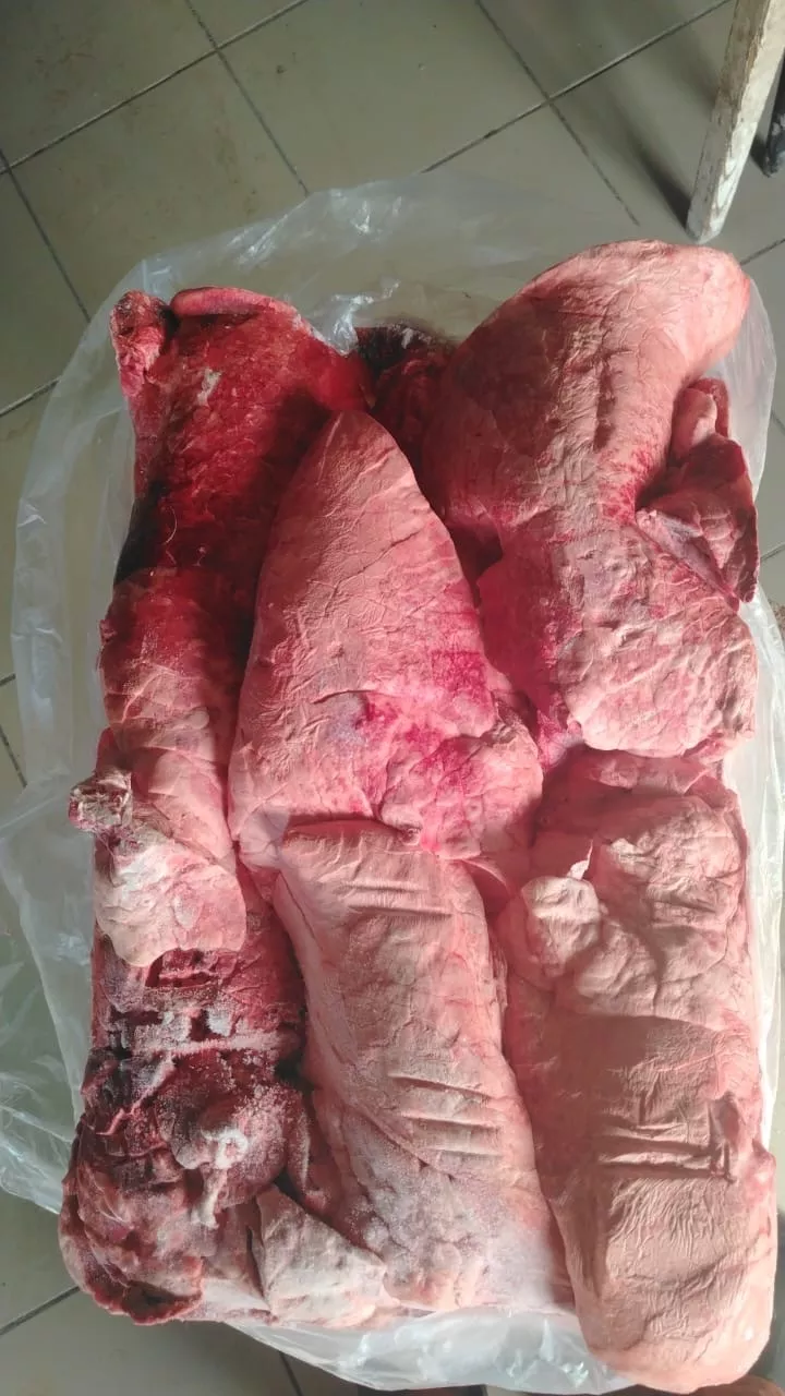 Фотография продукта Легкое свиное