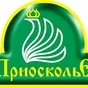 филе грудки ЦБ, Приосколье, заморозка в Белгороде