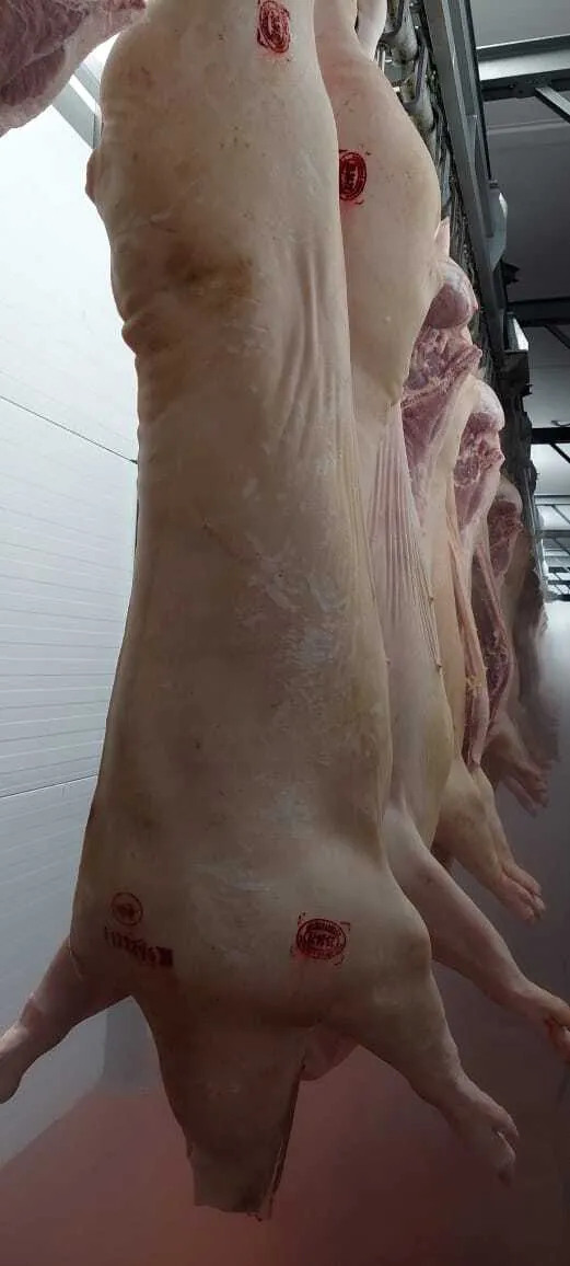 свинина в полутушах 3 категория в Новосибирске