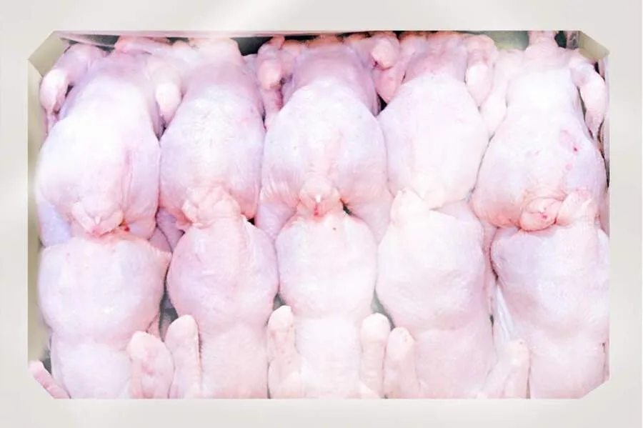 фотография продукта мясо  птицы,   патраха,  ножки,  желудки