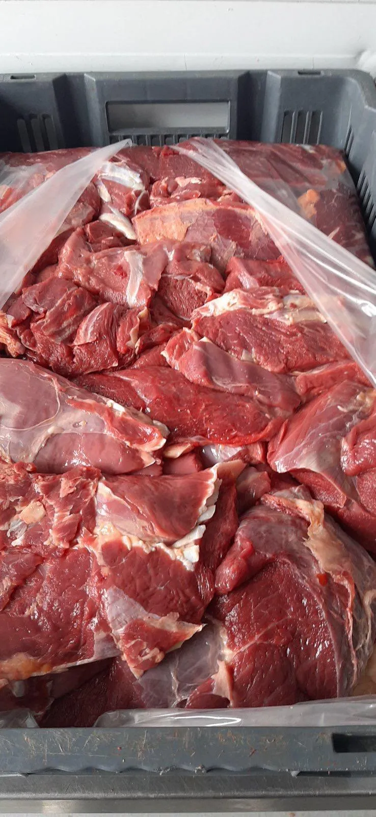 продаём говядину односорт ГОСТ в Республике Беларусь 4