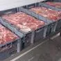 продаём говядину односорт ГОСТ в Республике Беларусь
