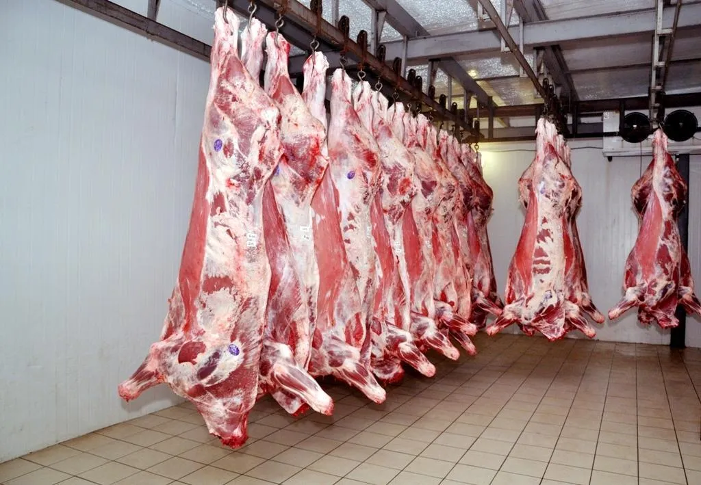 фотография продукта Мясо говядина в полутушах оптом 