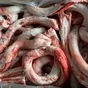 субпродукты  для собак в Ижевске и Удмуртской республике 5