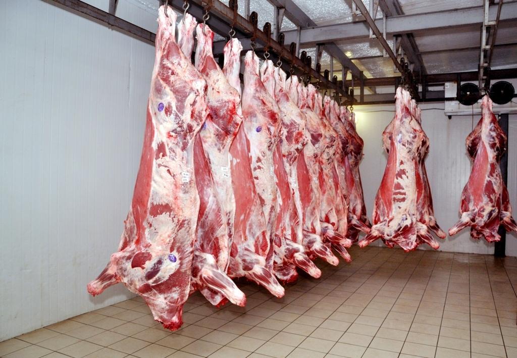 фотография продукта Мясо быков и тёлок молодняк