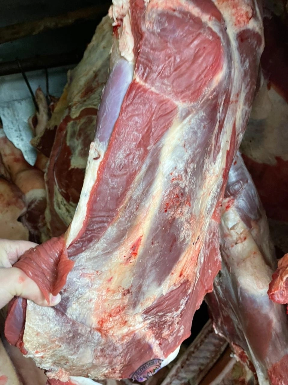 фотография продукта Мясо говядина в тушах