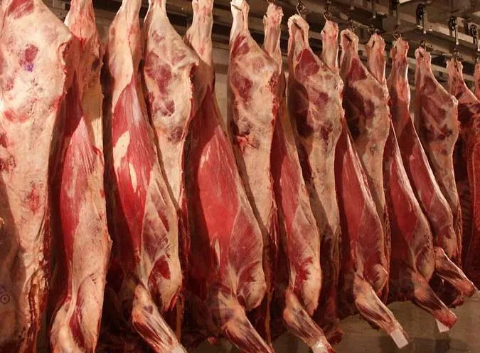 фотография продукта  мясо говядины охлажденное в полутушах