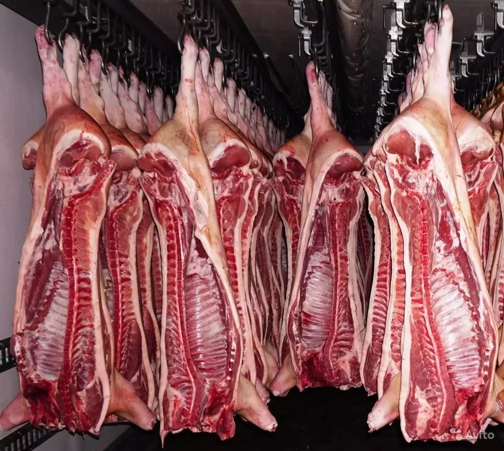 фотография продукта Мясо свинины в полутушах в брянске