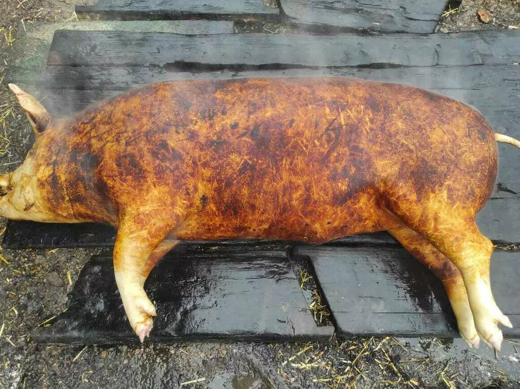 Фотография продукта Головы, жир, сало с домашних свиней