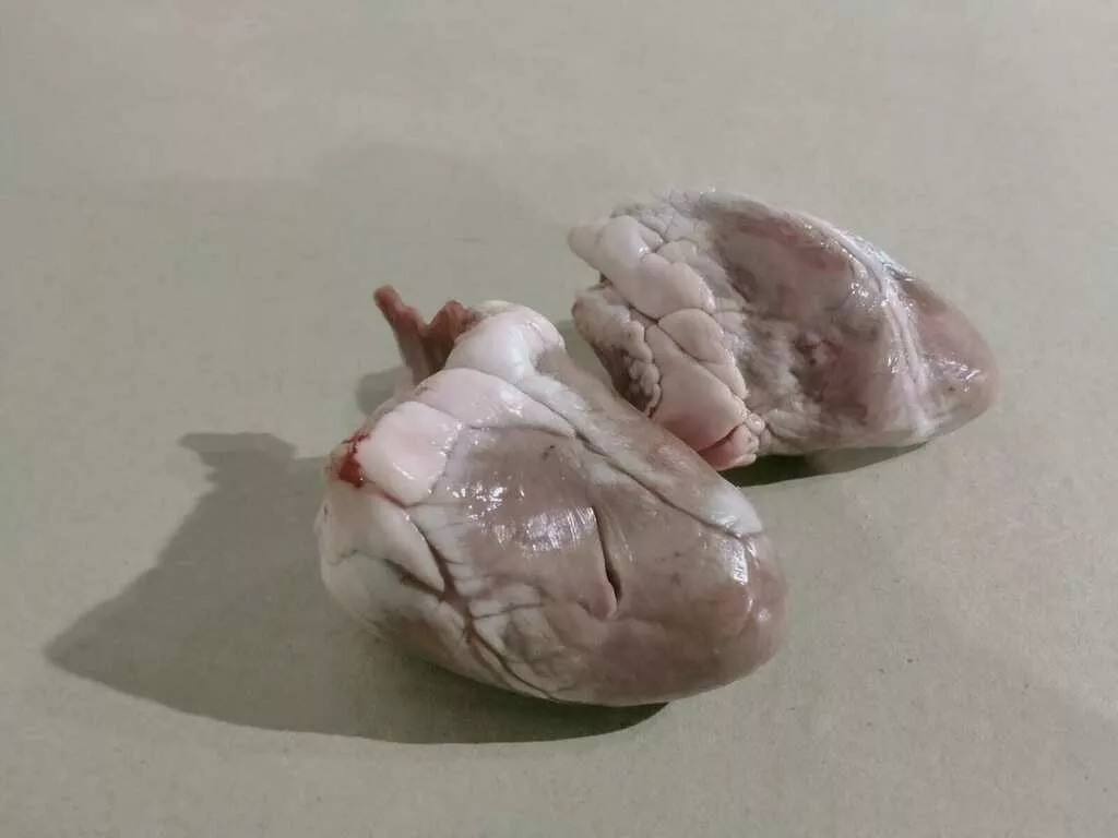 Фотография продукта Сердце баранины