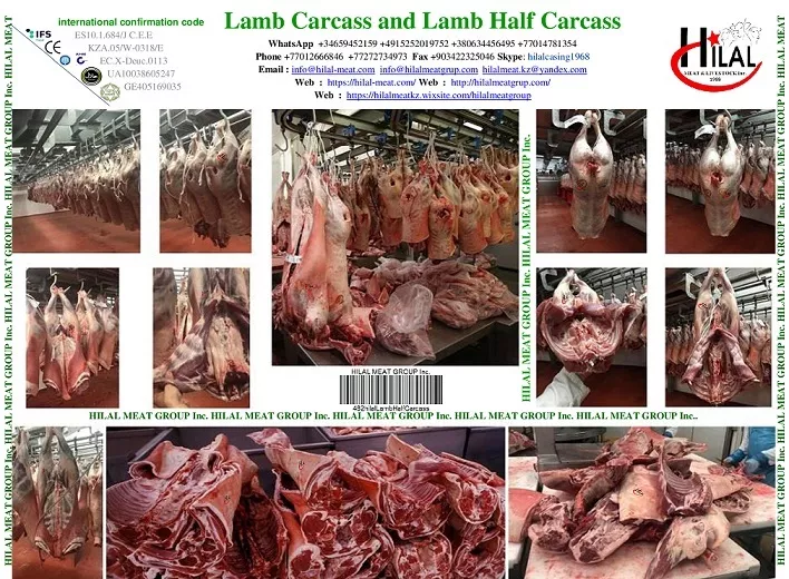 lamb carcass в Казахстане 10