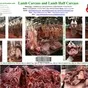 lamb carcass в Казахстане 10