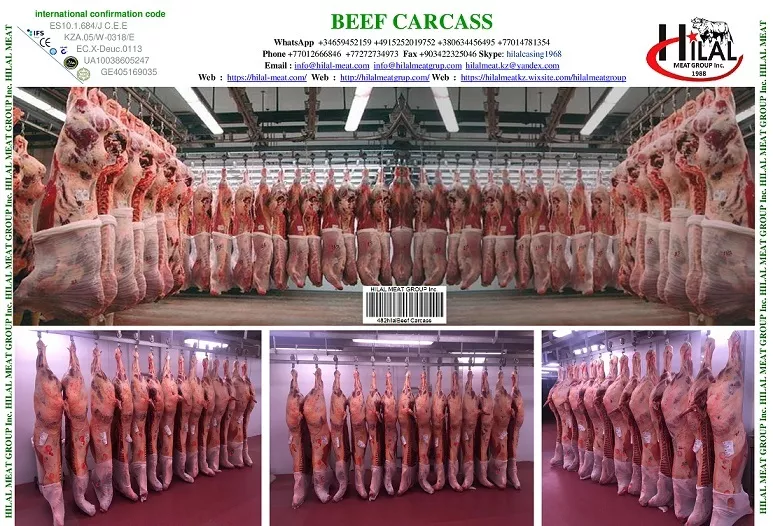 lamb carcass в Казахстане 6
