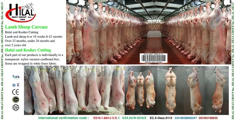 lamb carcass в Казахстане 5