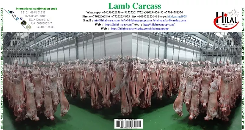 lamb carcass в Казахстане 3