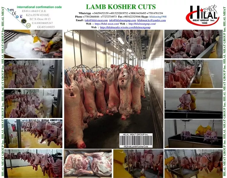 lamb carcass в Казахстане 7