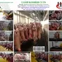 lamb carcass в Казахстане 7