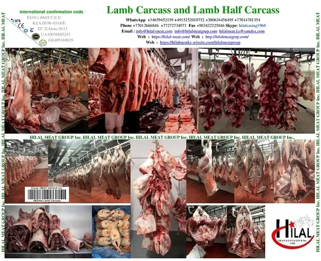 lamb carcass в Казахстане 4