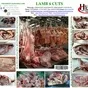 lamb carcass в Казахстане