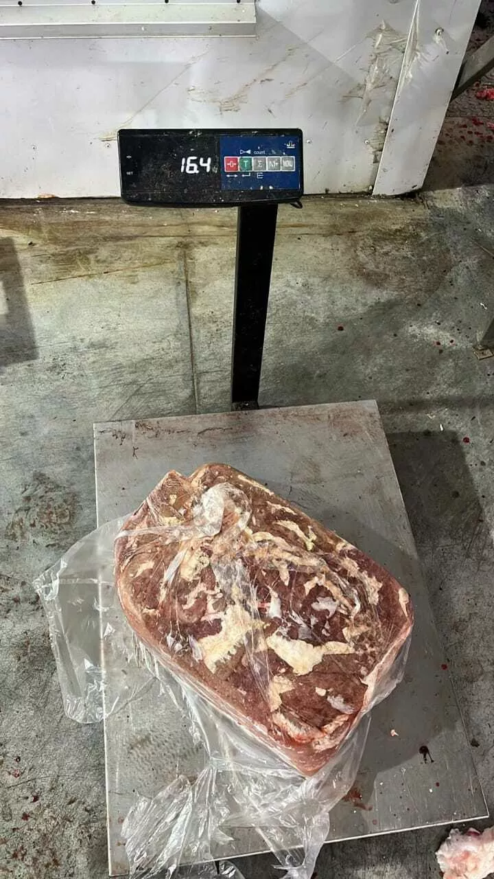 фотография продукта Тонкая кишка говяжья оптом замороженная 