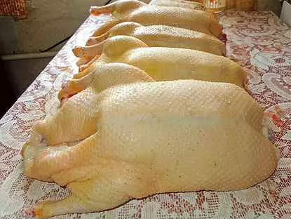 фотография продукта Тушки гусей, уток, колбаса из конины
