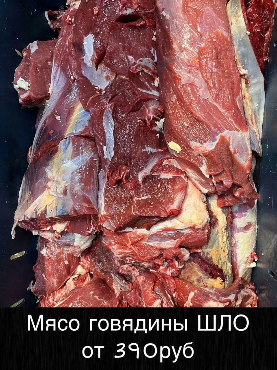 Фотография продукта Мясо - говядина и др. оптом