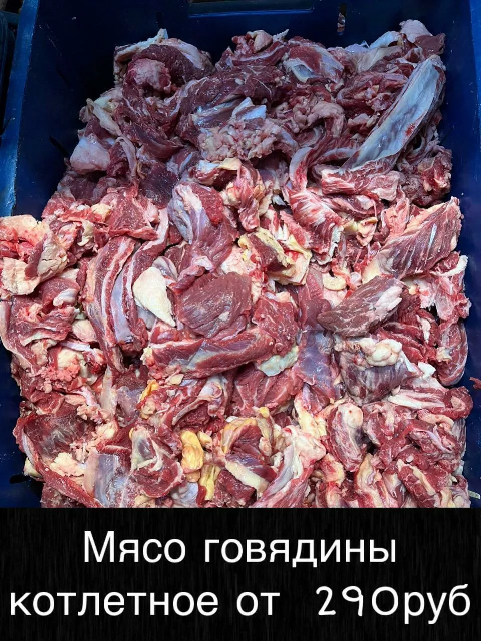 мясо оптом, доставим до вашего региона в Тынде 4