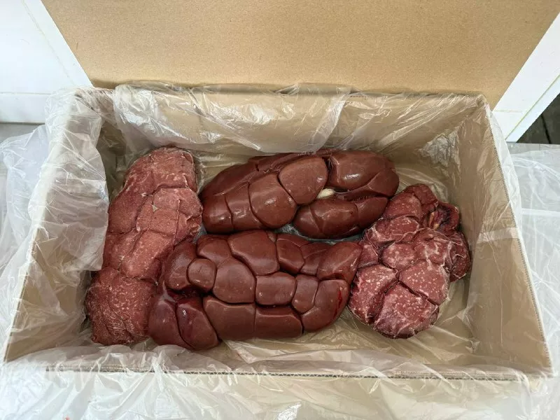 Фотография продукта Почки говяжьи