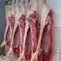 мясо свинины оптом  в Казахстане