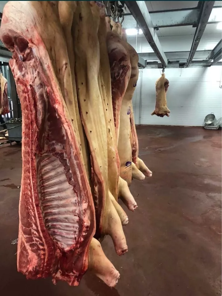 мясо свинины оптом  в Казахстане 2