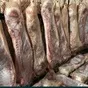 мясо свинины оптом  в Казахстане 5