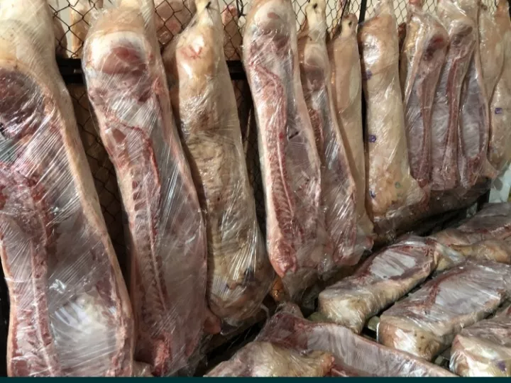 мясо свинины оптом  в Казахстане 4