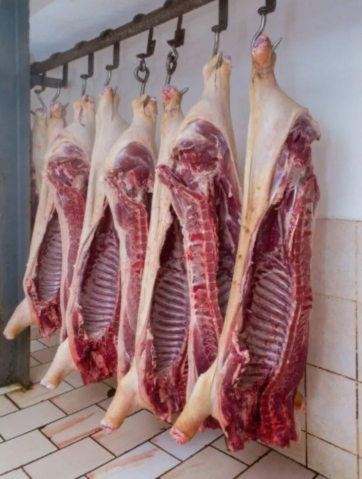 мясо свинины оптом  в Казахстане 3