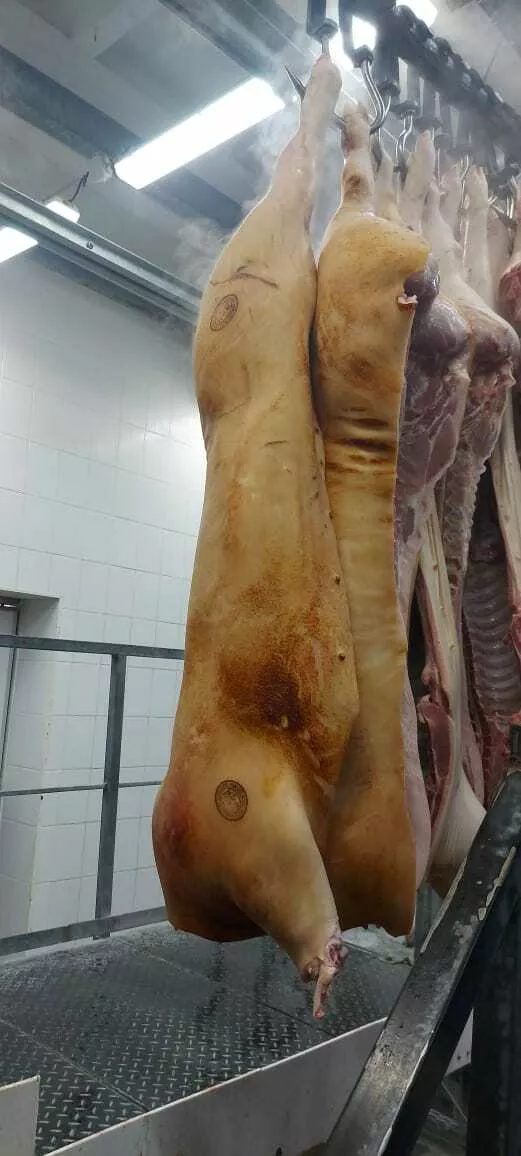 Фотография продукта Свиные полутуши, отрубы и субпродукты