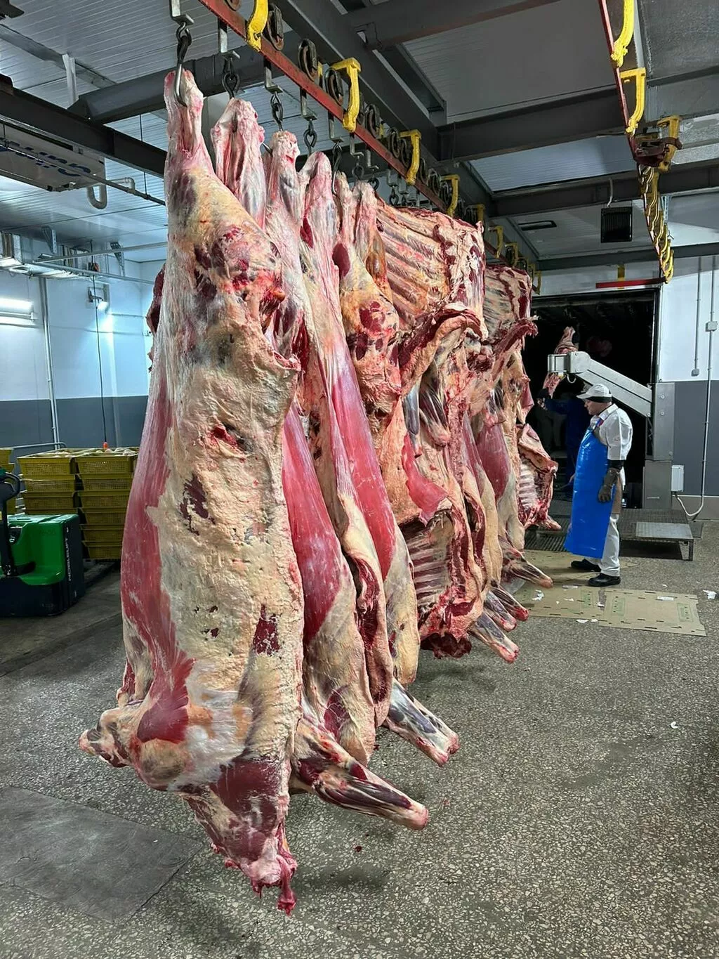 фотография продукта Мясо оптом в москву. говядина, баранина