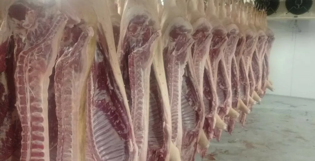 фотография продукта Мясо свинины оптом и в розницу
