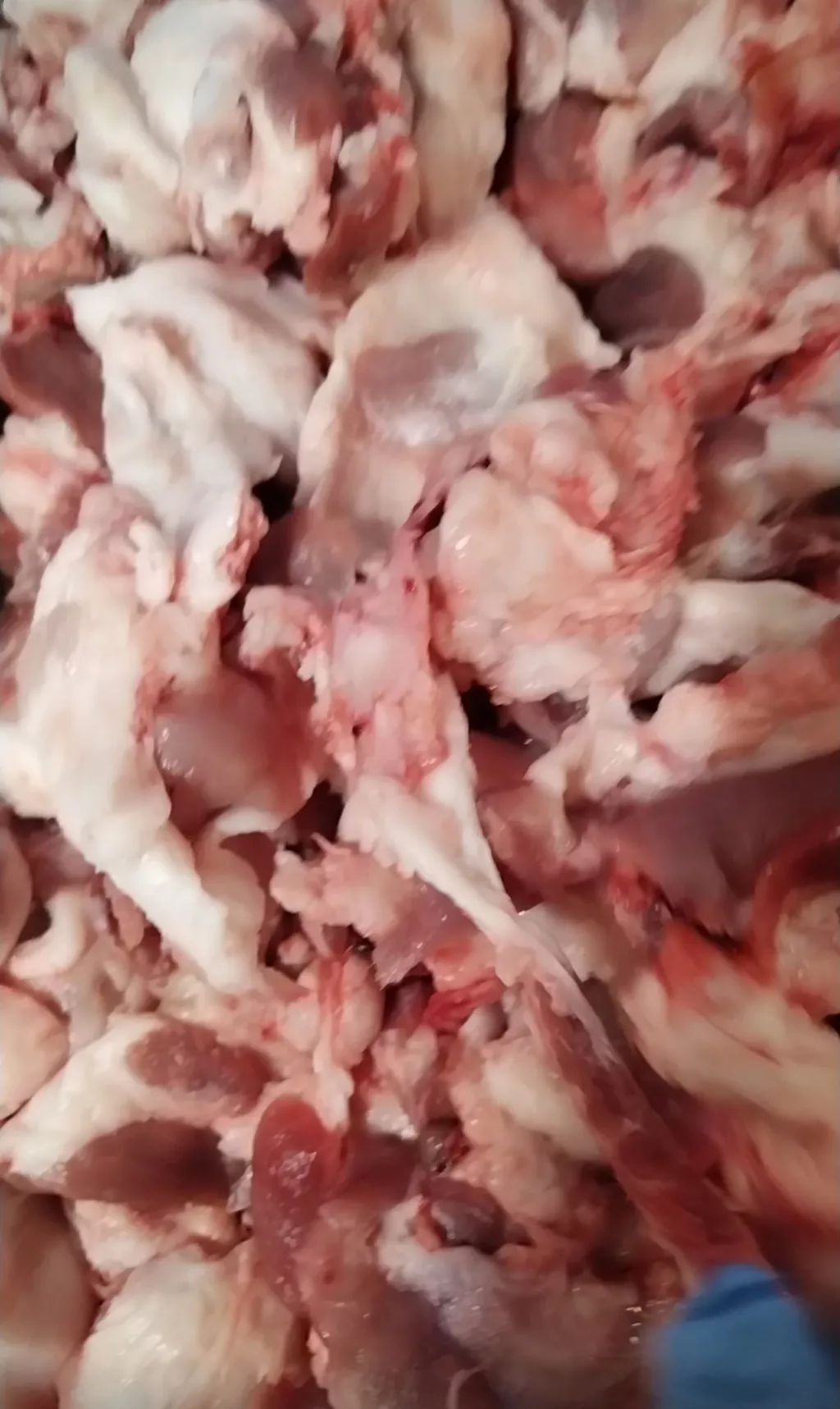 фотография продукта Обрезь свиная замороженная