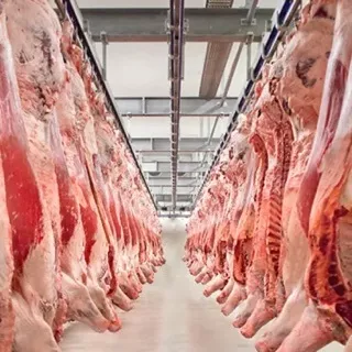 фотография продукта Мясо на кости в полутушах 