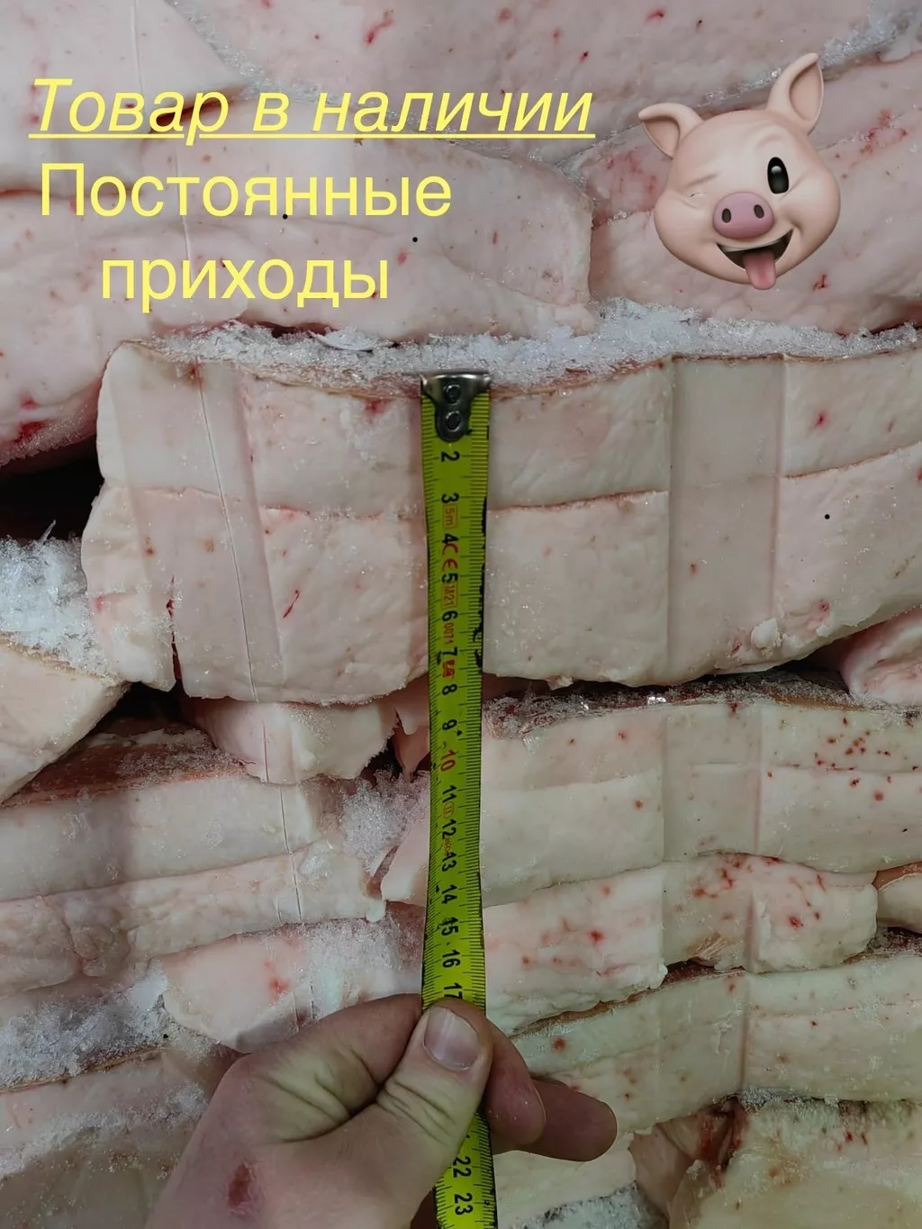 фотография продукта Шпик на шкуре 5+