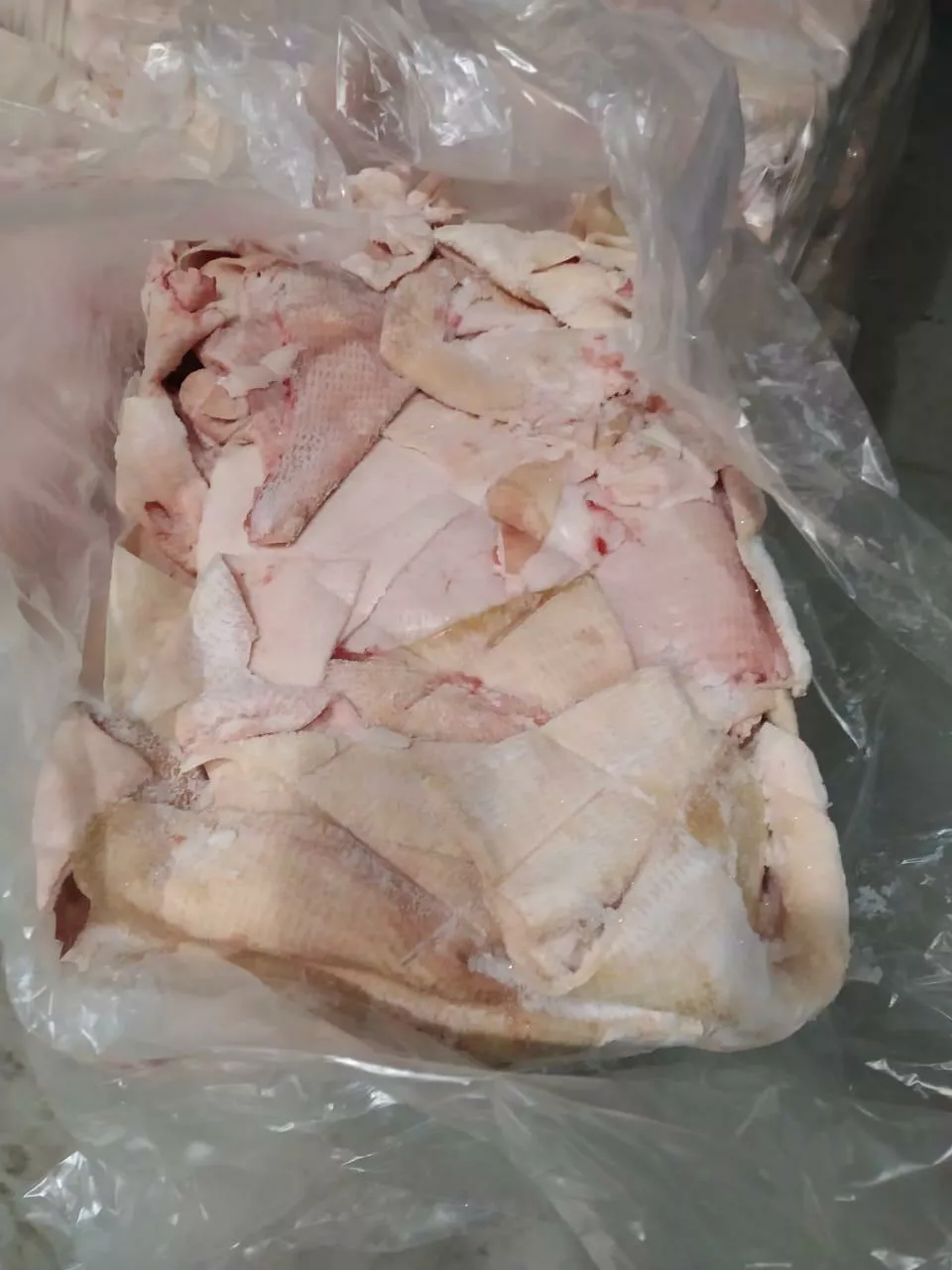 Фотография продукта Шкура свиная зам на складе в москве