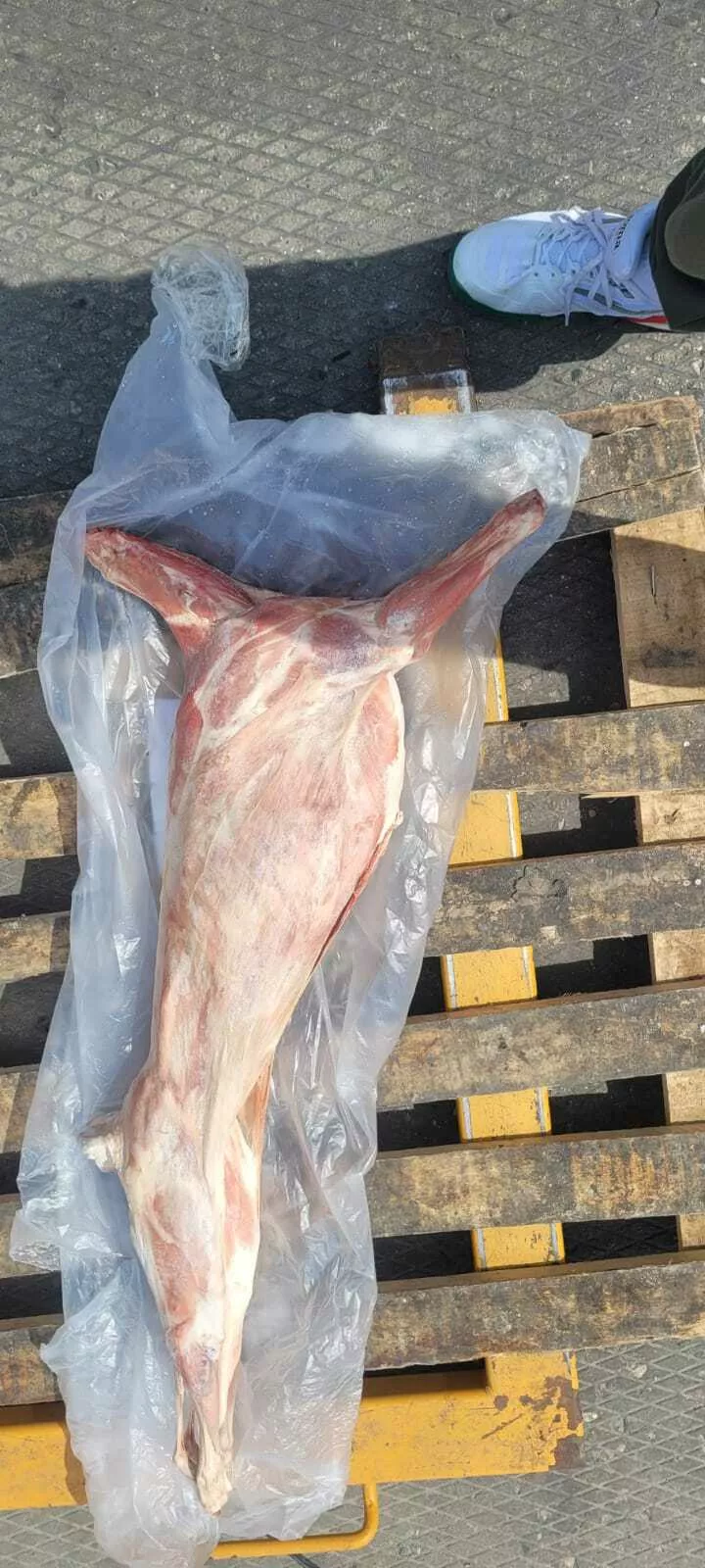 фотография продукта Туши баранина 9-14 кг, ягненок