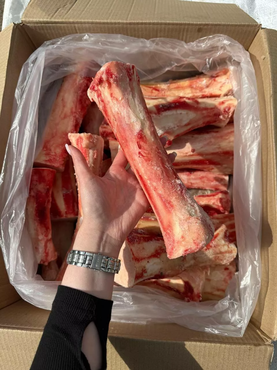 Фотография продукта Говяжья трубка (мозговая,сахарная кость)