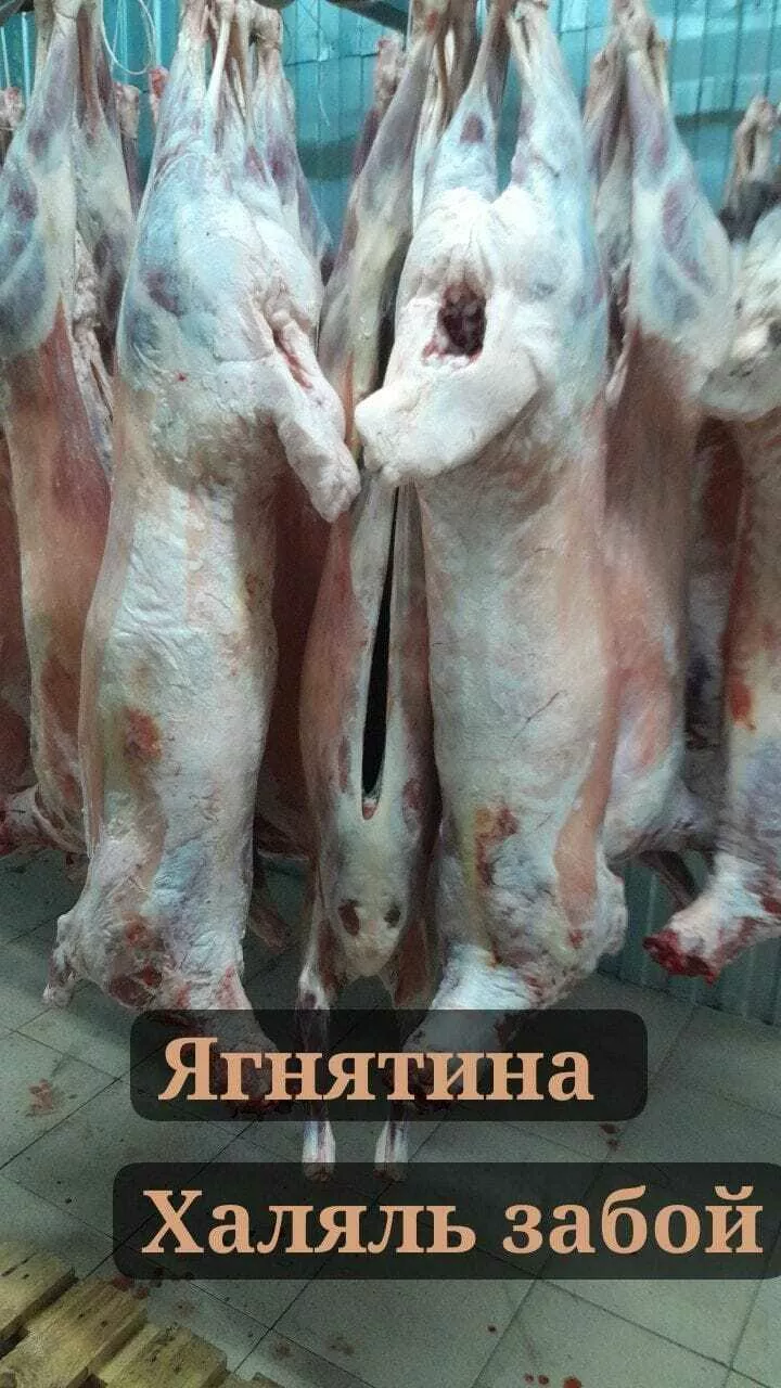 Фотография продукта Баранина оптом