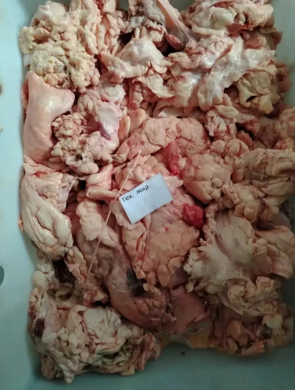 Фотография продукта Технический жир