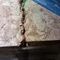 желудок свиной  в Рязани 5