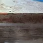 желудок свиной  в Рязани 2