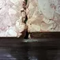 желудок свиной  в Рязани 4
