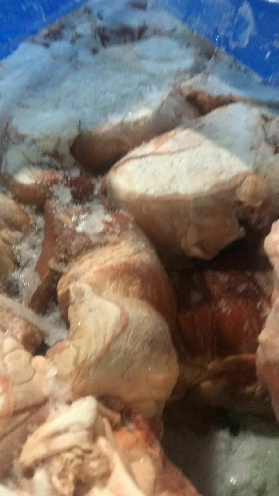 сердце в Санкт-Петербурге 4